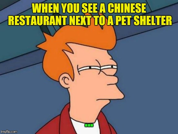 Futurama Fry Meme | WHEN YOU SEE A CHINESE RESTAURANT NEXT TO A PET SHELTER; ... | image tagged in memes,futurama fry | made w/ Imgflip meme maker