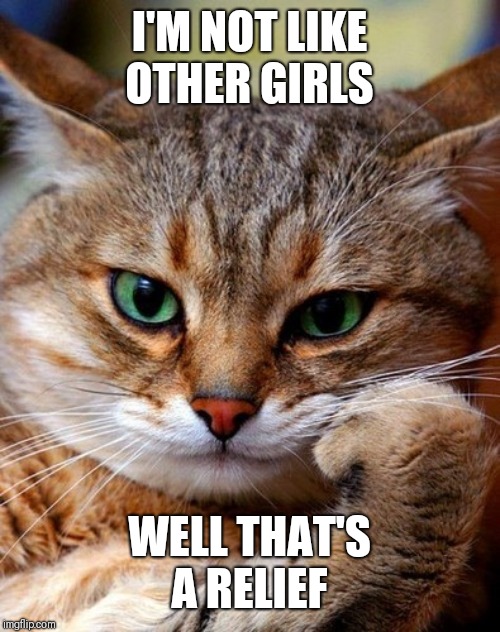bored cat | I'M NOT LIKE OTHER GIRLS WELL THAT'S A RELIEF | image tagged in bored cat | made w/ Imgflip meme maker