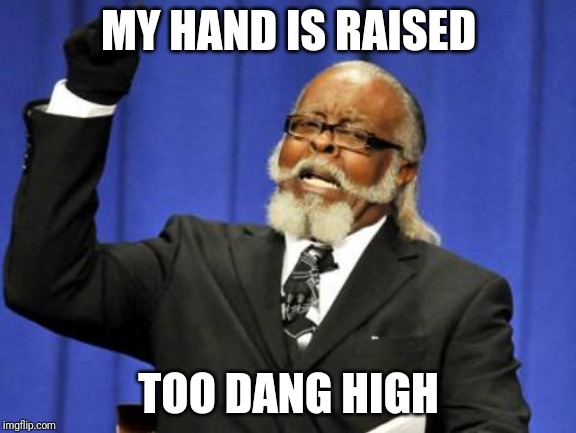 Too Damn High | MY HAND IS RAISED; TOO DANG HIGH | image tagged in memes,too damn high | made w/ Imgflip meme maker