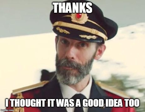 Captain Obvious | THANKS I THOUGHT IT WAS A GOOD IDEA TOO | image tagged in captain obvious | made w/ Imgflip meme maker