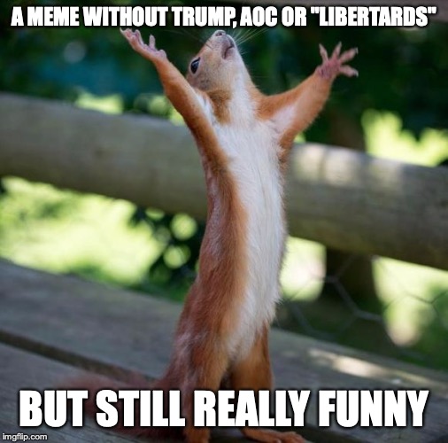 finally | A MEME WITHOUT TRUMP, AOC OR "LIBERTARDS" BUT STILL REALLY FUNNY | image tagged in finally | made w/ Imgflip meme maker