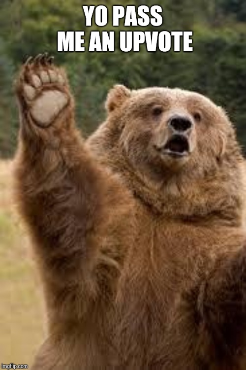 grizzly bear | YO PASS ME AN UPVOTE | image tagged in grizzly bear | made w/ Imgflip meme maker