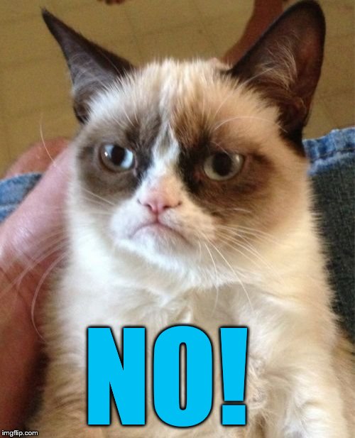 Grumpy Cat Meme | NO! | image tagged in memes,grumpy cat | made w/ Imgflip meme maker