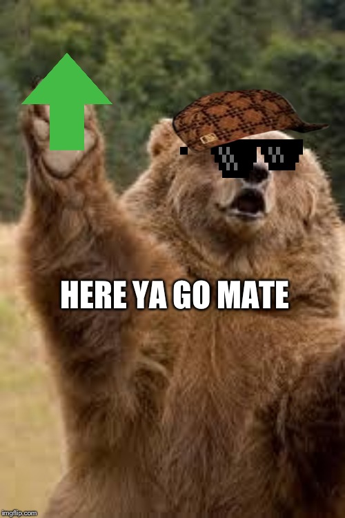 grizzly bear | HERE YA GO MATE | image tagged in grizzly bear | made w/ Imgflip meme maker
