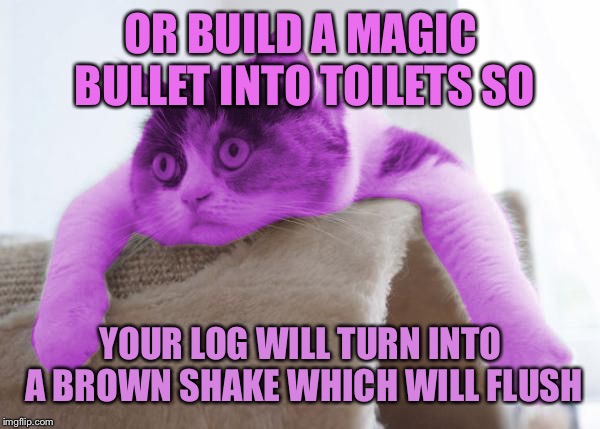 RayCat Stare | OR BUILD A MAGIC BULLET INTO TOILETS SO YOUR LOG WILL TURN INTO A BROWN SHAKE WHICH WILL FLUSH | image tagged in raycat stare | made w/ Imgflip meme maker