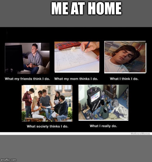 What I really do | ME AT HOME | image tagged in what i really do | made w/ Imgflip meme maker