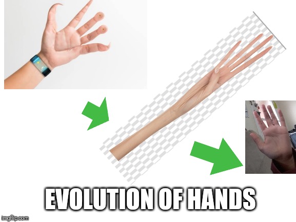 The human hand evolutin. You will wish it's the real evolution | EVOLUTION OF HANDS | image tagged in blank white template,memes,hands | made w/ Imgflip meme maker