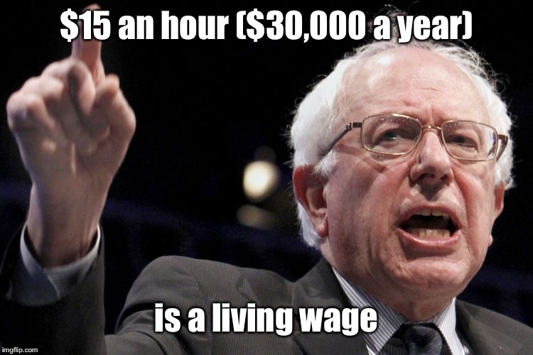 Bernie Sanders | $15 an hour ($30,000 a year) is a living wage | image tagged in bernie sanders | made w/ Imgflip meme maker