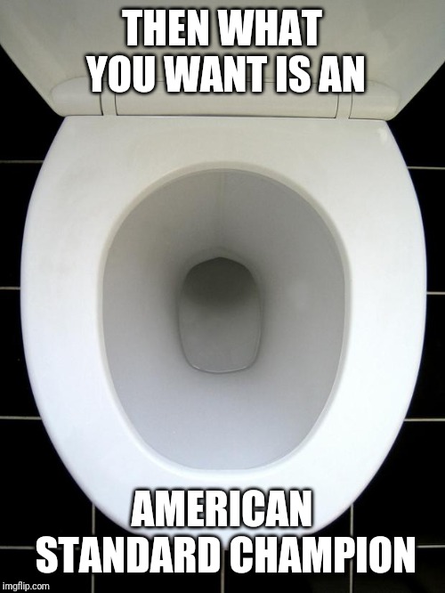 TOILET | THEN WHAT YOU WANT IS AN AMERICAN STANDARD CHAMPION | image tagged in toilet | made w/ Imgflip meme maker