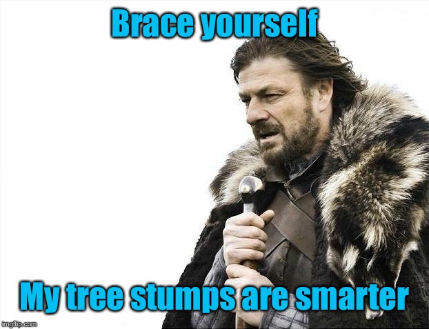 Brace Yourselves X is Coming Meme | Brace yourself My tree stumps are smarter | image tagged in memes,brace yourselves x is coming | made w/ Imgflip meme maker