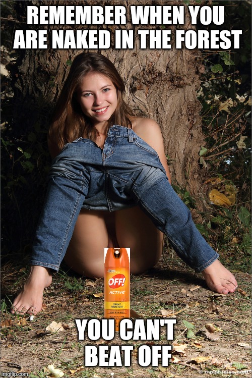 REMEMBER WHEN YOU ARE NAKED IN THE FOREST; YOU CAN'T BEAT OFF | image tagged in sex jokes,mosquito,naked woman,nsfw | made w/ Imgflip meme maker