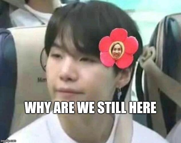 Asking the importance of me breathing with 14284920 smart people | WHY ARE WE STILL HERE | image tagged in bts,memes,suga | made w/ Imgflip meme maker