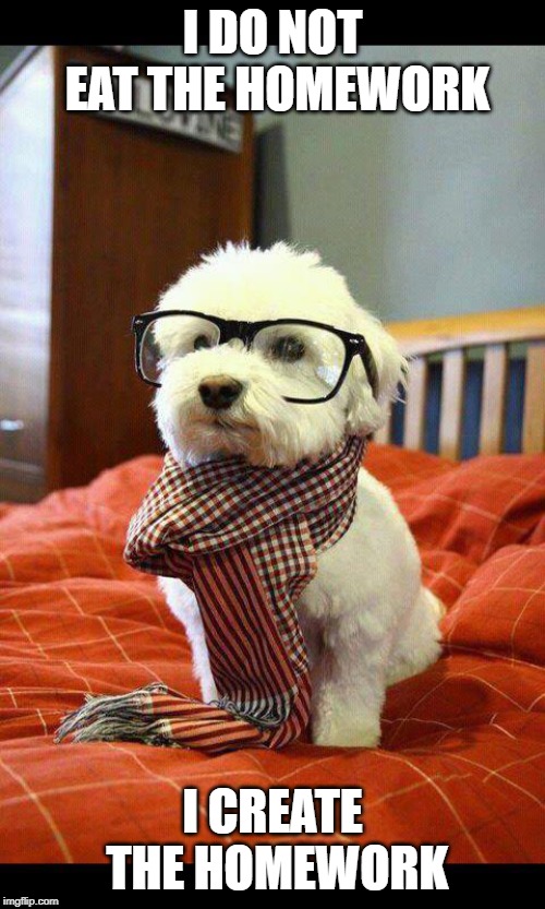 Intelligent Dog | I DO NOT EAT THE HOMEWORK; I CREATE THE HOMEWORK | image tagged in memes,intelligent dog | made w/ Imgflip meme maker
