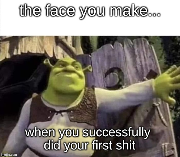 Shrek opens the door | the face you make... when you successfully did your first shit | image tagged in shrek opens the door | made w/ Imgflip meme maker