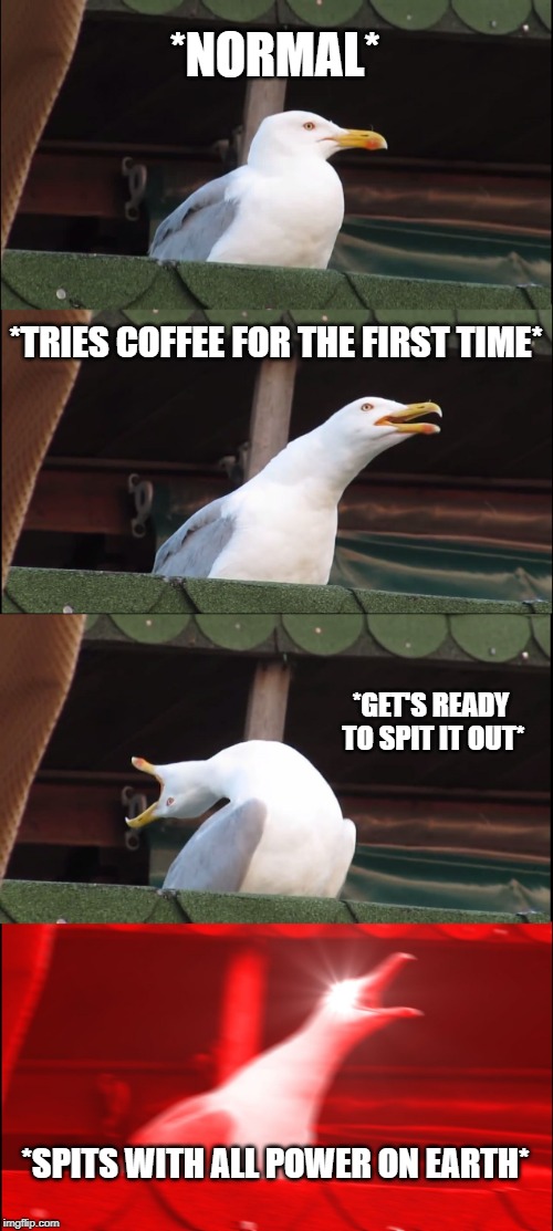 Inhaling Seagull Meme | *NORMAL*; *TRIES COFFEE FOR THE FIRST TIME*; *GET'S READY TO SPIT IT OUT*; *SPITS WITH ALL POWER ON EARTH* | image tagged in memes,inhaling seagull | made w/ Imgflip meme maker