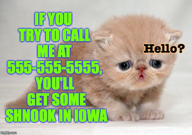 Try it! | IF YOU TRY TO CALL ME AT 555-555-5555, Hello? YOU'LL GET SOME SHNOOK IN IOWA | image tagged in sad kitten,memes,shnooks,iowa | made w/ Imgflip meme maker