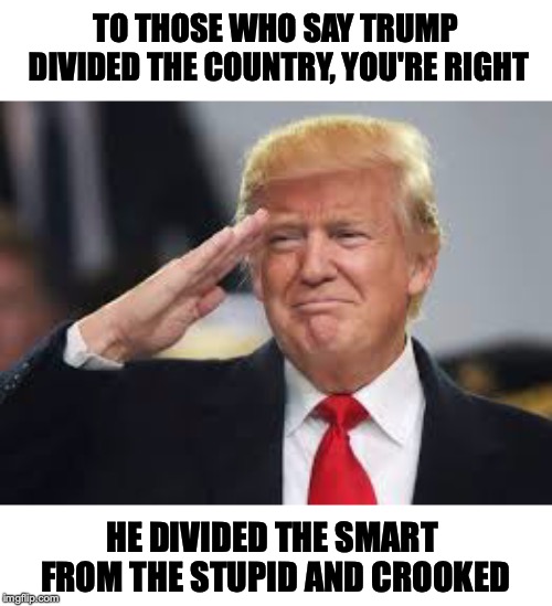 The Great Divider | TO THOSE WHO SAY TRUMP DIVIDED THE COUNTRY, YOU'RE RIGHT; HE DIVIDED THE SMART FROM THE STUPID AND CROOKED | image tagged in donald trump,smart | made w/ Imgflip meme maker
