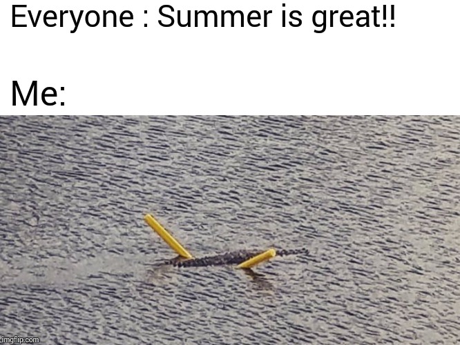 Everyone : Summer is great!! Me: | image tagged in memes | made w/ Imgflip meme maker
