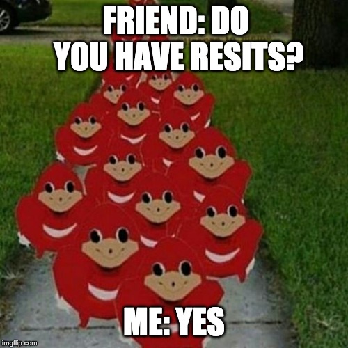 Ugandan knuckles army | FRIEND: DO YOU HAVE RESITS? ME: YES | image tagged in ugandan knuckles army | made w/ Imgflip meme maker