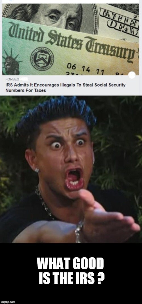 crooks | WHAT GOOD IS THE IRS ? | image tagged in memes,dj pauly d,irs,politics | made w/ Imgflip meme maker