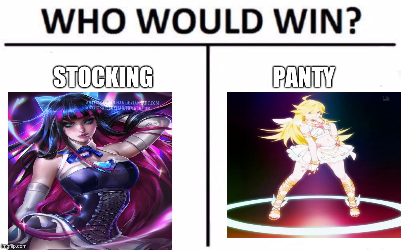 Who Would Win? Meme | STOCKING; PANTY | image tagged in memes,who would win,funny memes | made w/ Imgflip meme maker
