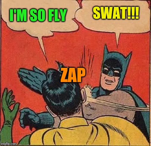 Batman Slapping Robin Meme | SWAT!!! I'M SO FLY; ZAP | image tagged in memes,batman slapping robin | made w/ Imgflip meme maker