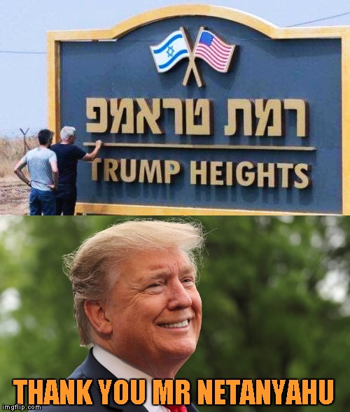 POTUS at His Heights | THANK YOU MR NETANYAHU | image tagged in memes,donald trump,happy birthday,golan heights | made w/ Imgflip meme maker