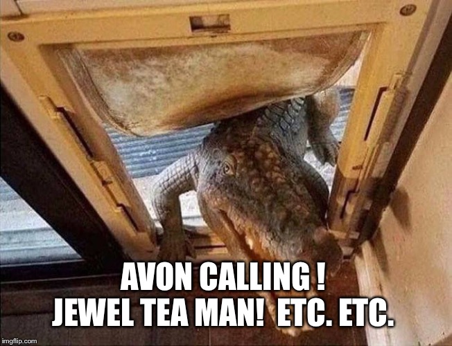 Croc Godzilla door cat door dog door | AVON CALLING !  JEWEL TEA MAN!  ETC. ETC. | image tagged in croc godzilla door cat door dog door | made w/ Imgflip meme maker