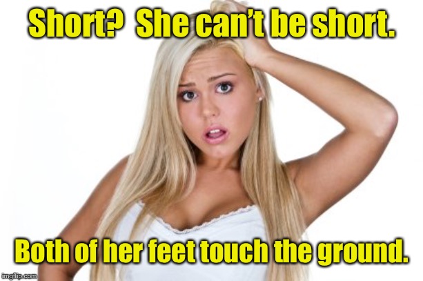 Dumb Blonde | Short?  She can’t be short. Both of her feet touch the ground. | image tagged in dumb blonde | made w/ Imgflip meme maker