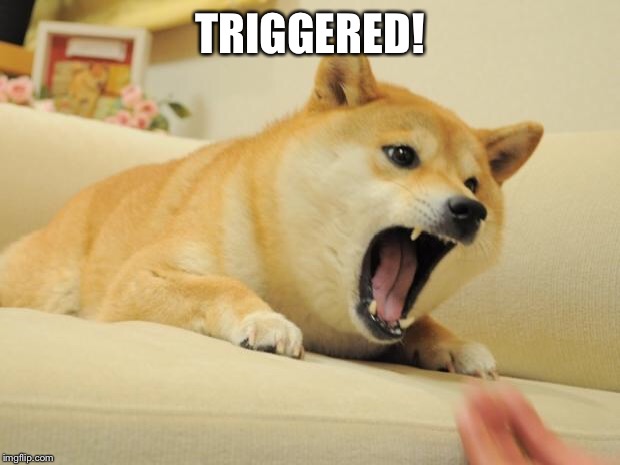 ANGRY DOGE | TRIGGERED! | image tagged in angry doge | made w/ Imgflip meme maker
