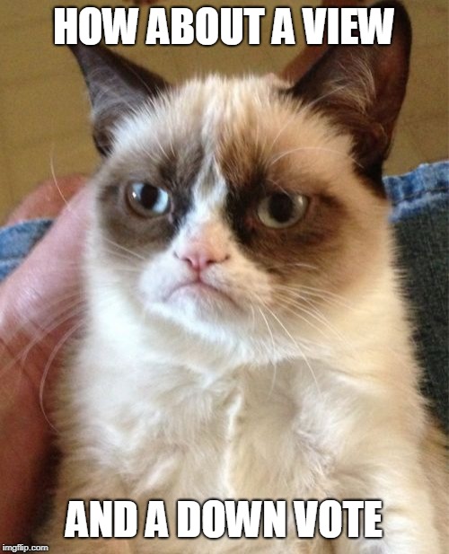 Grumpy Cat Meme | HOW ABOUT A VIEW AND A DOWN VOTE | image tagged in memes,grumpy cat | made w/ Imgflip meme maker