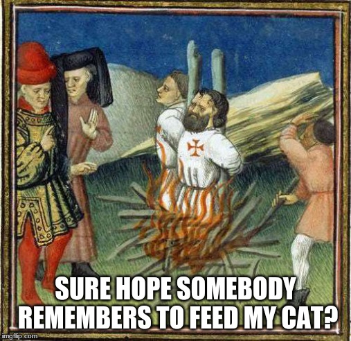 Felines Templar | SURE HOPE SOMEBODY REMEMBERS TO FEED MY CAT? | image tagged in knights templar,history,humor,cats,what if i told you | made w/ Imgflip meme maker