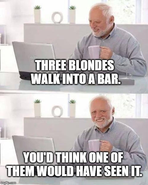 D'oh! | THREE BLONDES WALK INTO A BAR. YOU'D THINK ONE OF THEM WOULD HAVE SEEN IT. | image tagged in memes,hide the pain harold,dumb blonde,blondes | made w/ Imgflip meme maker