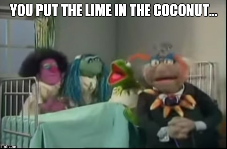 YOU PUT THE LIME IN THE COCONUT... | made w/ Imgflip meme maker