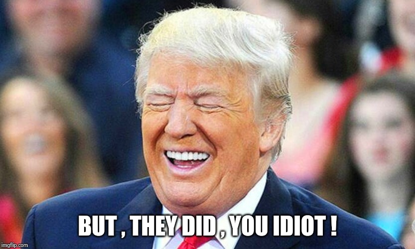 Trump laughing  | BUT , THEY DID , YOU IDIOT ! | image tagged in trump laughing | made w/ Imgflip meme maker