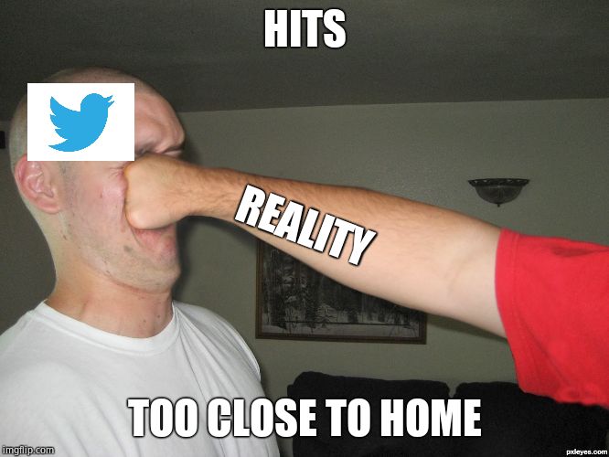 Face punch | HITS TOO CLOSE TO HOME REALITY | image tagged in face punch | made w/ Imgflip meme maker