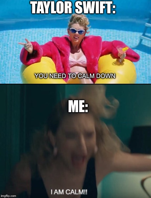 TAYLOR SWIFT:; YOU NEED TO CALM DOWN; ME: | image tagged in taylor swift | made w/ Imgflip meme maker