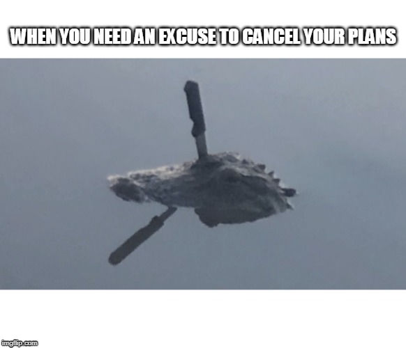 all out of excuses | WHEN YOU NEED AN EXCUSE TO CANCEL YOUR PLANS | image tagged in introvert,making plans | made w/ Imgflip meme maker