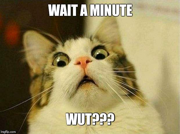Scared Cat |  WAIT A MINUTE; WUT??? | image tagged in memes,scared cat | made w/ Imgflip meme maker