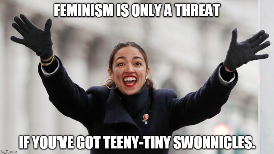 AOC at age 29 is so much smarter than her critics. And when she gets it wrong, she learns on the job..Unlike her critics. | FEMINISM IS ONLY A THREAT; IF YOU'VE GOT TEENY-TINY SWONNICLES. | image tagged in aoc free stuff,aoc,tiny | made w/ Imgflip meme maker