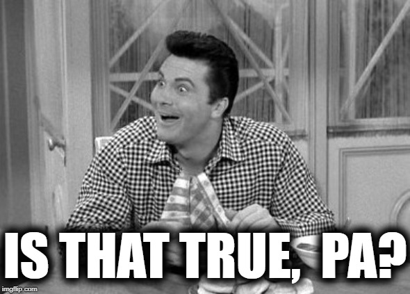 Jethro | IS THAT TRUE,  PA? | image tagged in jethro | made w/ Imgflip meme maker