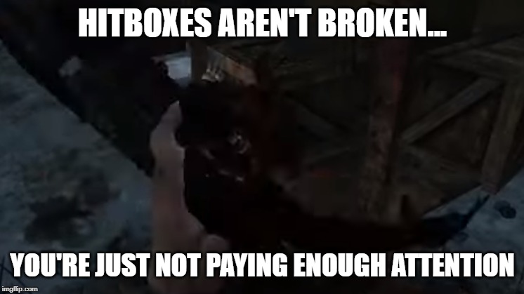 DbD Hitboxes | HITBOXES AREN'T BROKEN... YOU'RE JUST NOT PAYING ENOUGH ATTENTION | image tagged in dbd hitboxes | made w/ Imgflip meme maker