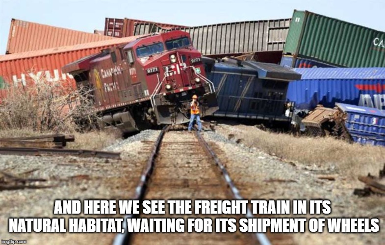 Freight Train Wreck | AND HERE WE SEE THE FREIGHT TRAIN IN ITS NATURAL HABITAT, WAITING FOR ITS SHIPMENT OF WHEELS | image tagged in freight train wreck | made w/ Imgflip meme maker