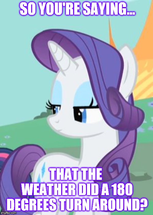 My Little Pony Rarity Sarcastic | SO YOU'RE SAYING... THAT THE WEATHER DID A 180 DEGREES TURN AROUND? | image tagged in my little pony rarity sarcastic | made w/ Imgflip meme maker