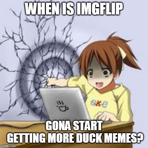 MORE DUCK | WHEN IS IMGFLIP; GONA START GETTING MORE DUCK MEMES? | image tagged in anime wall punch,duck | made w/ Imgflip meme maker