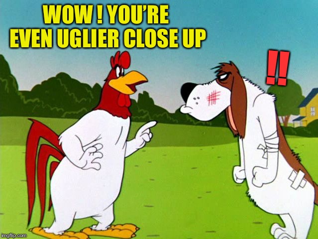 foghorn leghorn | WOW ! YOU’RE EVEN UGLIER CLOSE UP !! | image tagged in foghorn leghorn | made w/ Imgflip meme maker