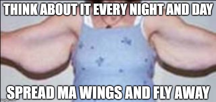 THINK ABOUT IT EVERY NIGHT AND DAY SPREAD MA WINGS AND FLY AWAY | made w/ Imgflip meme maker
