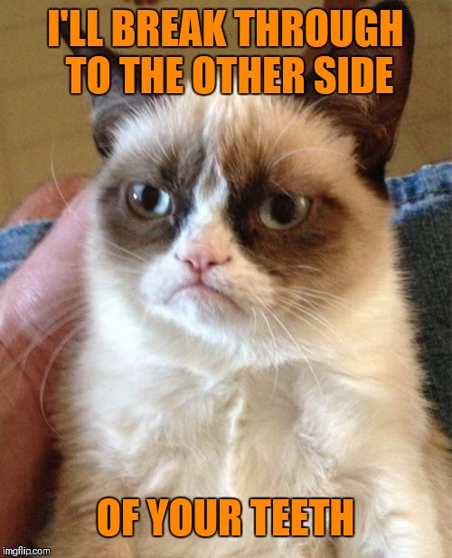 Grumpy Cat Meme | I'LL BREAK THROUGH TO THE OTHER SIDE OF YOUR TEETH | image tagged in memes,grumpy cat | made w/ Imgflip meme maker