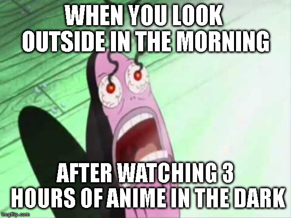 my eyes | WHEN YOU LOOK  OUTSIDE IN THE MORNING; AFTER WATCHING 3 HOURS OF ANIME IN THE DARK | image tagged in my eyes | made w/ Imgflip meme maker