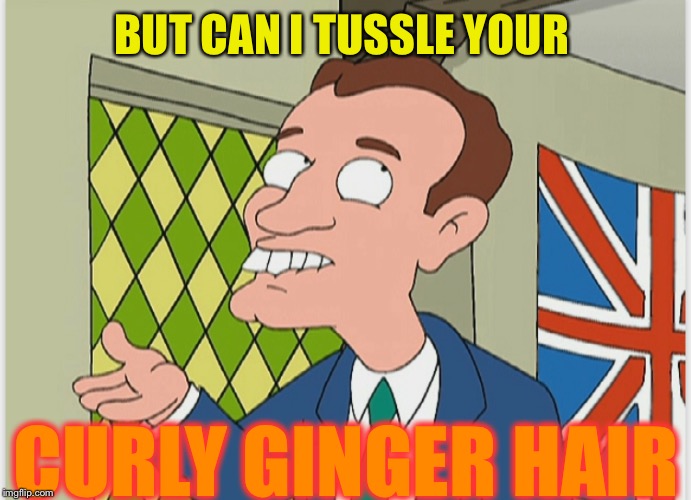 BUT CAN I TUSSLE YOUR CURLY GINGER HAIR | made w/ Imgflip meme maker